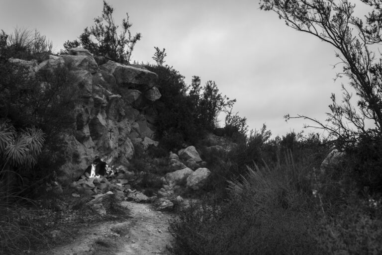 Sin Titulo 1 768x513